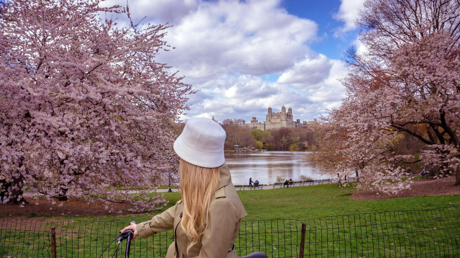 Central Park & NYC: Bike Rental - Photo 1 of 2